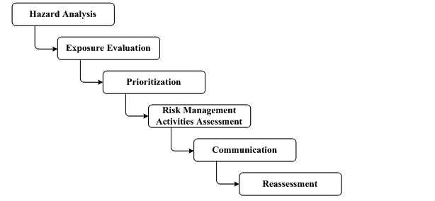 Risk Assessment Process